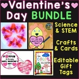 Valentine's Day Bundle Science STEM Editable Gift Tags Cra