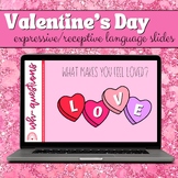 Valentine's Day Expressive/Receptive Language Slides