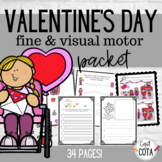 Valentine's Day Fine & Visual Motor Packet