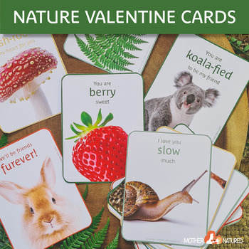 Preview of Valentine's Day Friendship Cards | Valentine's Day Care Cards | Montessori