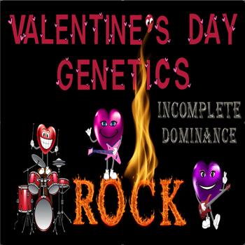 Preview of Valentine's Day Genetics, Heredity, Inheritance Punnett Square INCOMPLETE DOMINA