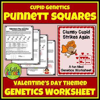 Preview of Valentine's Day Punnett Square Worksheet - Cupid Genetics