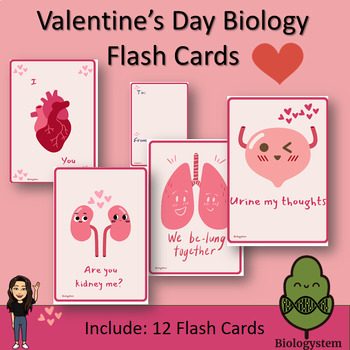 Preview of Valentine's Day Human Body organs-Funny science Flash Cards