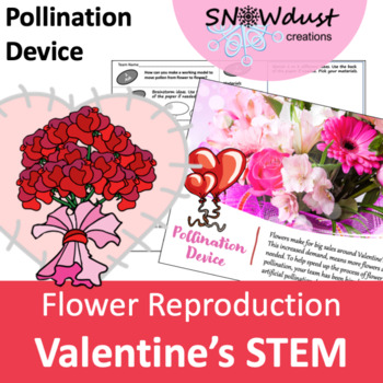 Preview of Valentine’s Day STEM Activity: Flower Reproduction