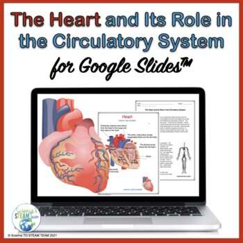 Preview of Valentine's Day Science The Heart's Role in the Circulatory System