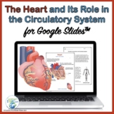 Valentine's Day Science The Heart's Role in the Circulator