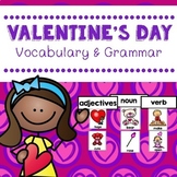 Valentine's Day Vocabulary And Grammar Activities (Nouns, 