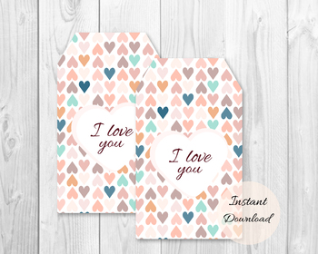 Preview of Valentine's Gift Tag, Valentine Treat Tags, Print at home, I Love You Card