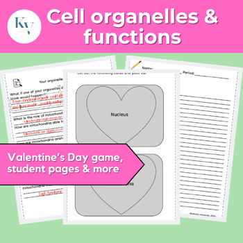 Preview of Valentine's Day Cell Organelles & Functions Matching Game