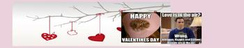 Preview of Valentines Day Google Classroom Banner/Header (Funny, Sciencey)