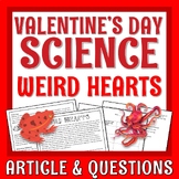 Valentines Day SCIENCE Activity Compare Weird Animal Heart