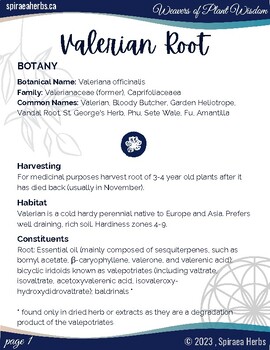 Preview of Valerian Root ~ Valariana officinalis Herbal Mini-Book (Monograph)