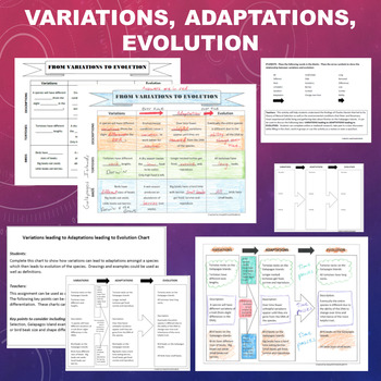 Preview of Variations, Adaptations, and Evolution Charts