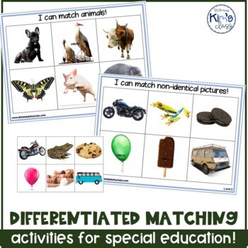 Preview of Differentiated Matching Activities, DIGITAL OPTION INCLUDED!