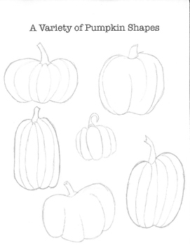 Variety of Pumpkin Shapes by Anne's Authentic Art | TpT