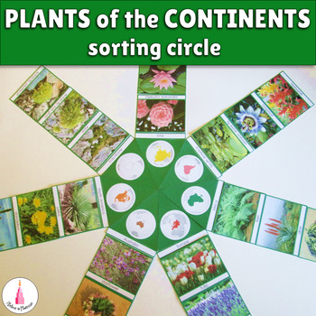 Preview of Plants of the Continents Sorting Activity Montessori