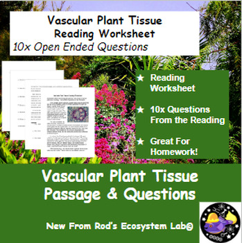 Preview of Vascular Plant Tissue Reading Worksheet **Editable**
