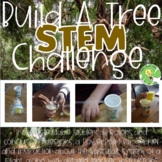 Vascular Tissue- Plant Adaptations- Build A Tree STEM Challenge 