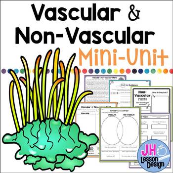 Preview of Vascular and Nonvascular Plants Mini-Unit