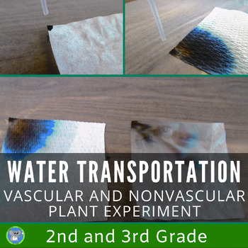 Preview of Vascular and Nonvascular Plants | Water Transportation | Grade 2 3 Science
