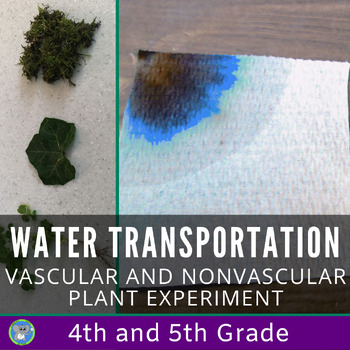 Preview of Vascular and Nonvascular Plants | Water Transportation | Grade 4 5 Science