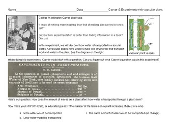 Preview of Vascular plant experiment w/celery w/connections to George Washington Carver