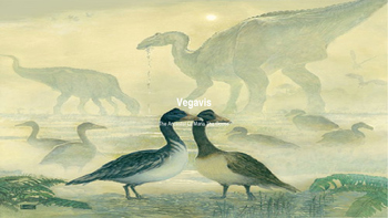 Preview of Vegavis An Extinct Bird From The Antarctic