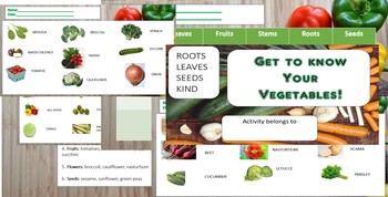 Preview of Vegetable Activity