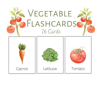 Preview of Vegetable Flashcards (16 Total)