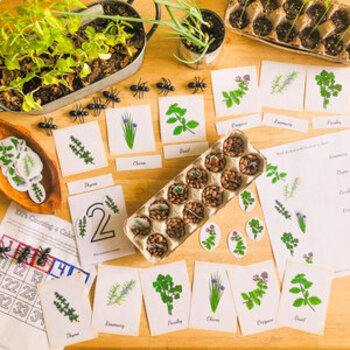 Preview of Vegetable Garden Learning Pack + Tea Time Guides + Herbs in the Garden