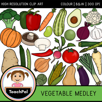 Preview of Vegetable Medley - Vegetable Clip Art - Food Groups