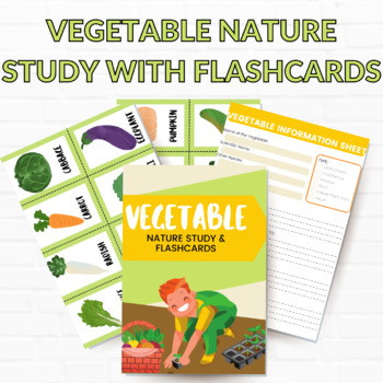 Preview of Vegetable Study Unit, Vegetable Flash Cards, Vegetable Study Unit, Instant Digit