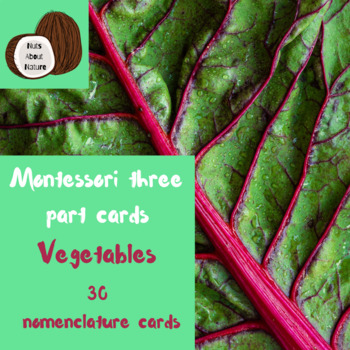 Vegetables Montessori 3 Part Cards By Nuts About Nature Education