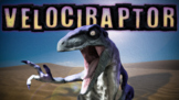 Velociraptor Quiz!