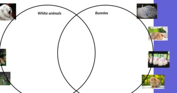 Preview of Venn Diagram Practice Flipchart