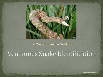 Preview of Venomous Snake Identification