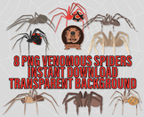 Venomous Spiders Png Clipart - Arachnophobia Clip Art, Bla