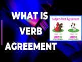 Verb Agreement