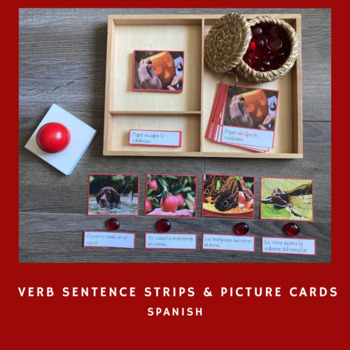 Preview of Verb Sentence Strips & Picture Images in Spanish (Montessori)