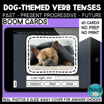 Preview of Verb Tenses Real Photos BOOM CARDS™  Dog Themed Photos (Past, present, future)