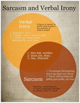 Preview of Verbal Irony vs. Sarcasm Infographic