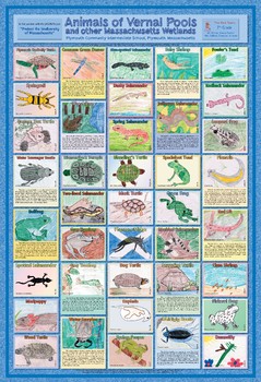 The Uplands  Eco-System Classroom NEW CLASSROOM SCIENCE POSTER The Wetlands 