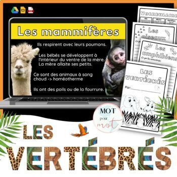 Preview of Vertébrés - recherche, vocabulaire & présentation | Animal Classification FRENCH