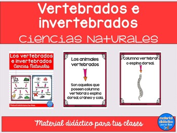 Preview of Vertebrados e Invertebrados- actividades- Spanish vertebrates and invertebrates