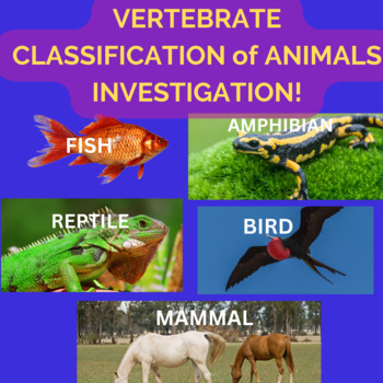 Preview of Vertebrate Classification of Animals Investigation WebQuest!