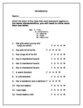 Vertebrate Groups worksheet by Rock Teacher | Teachers Pay Teachers