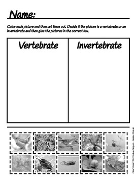 Vertebrate/Invertebrate Sorting Cards, Lesson Plan, and No-Prep Worksheet