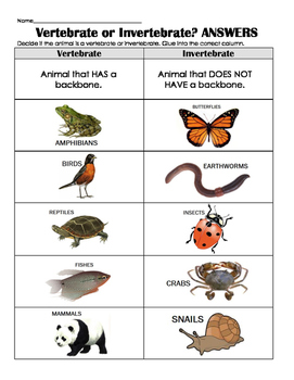 Vertebrate OR Invertebrate sort w/ realistic pictures- review, assess