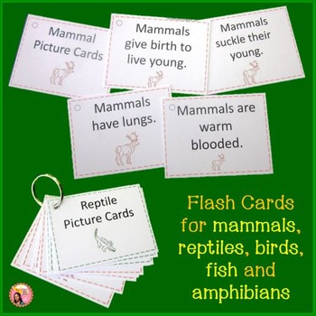 Vertebrates and Invertebrates: Vertebrate Posters, Flash Cards and Sorting