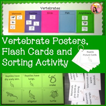 Preview of Vertebrates and Invertebrates: Vertebrate Posters, Flash Cards and Sorting